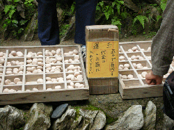 20100921-070.gif