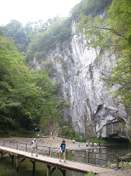 20100921-074.gif