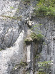 20100921-0692.gif