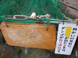 20100921-095.gif