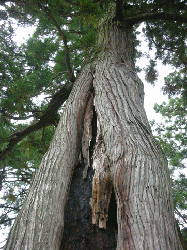 20100921-112.gif