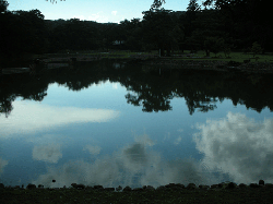 20100921-130.gif