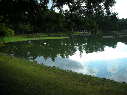 20100921-131.gif