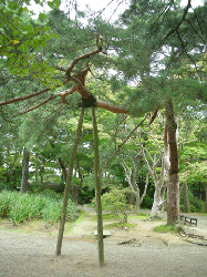 20100921-122.gif