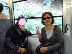 52820350_org.gif