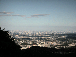 DSCN5315.gif
