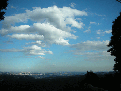 DSCN5312.gif