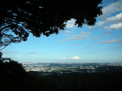 DSCN5311.gif