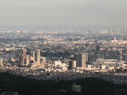 DSCN5313.gif
