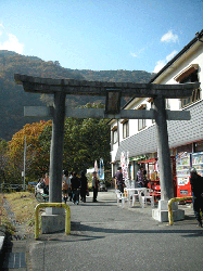 DSCN5364.gif