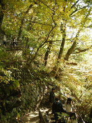 DSCN5366.gif