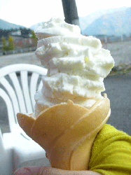 DSCN5376.gif