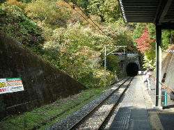 DSCN5383.gif