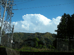 DSCN5386.gif