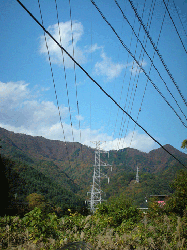 DSCN5390.gif