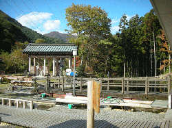 DSCN5409.gif