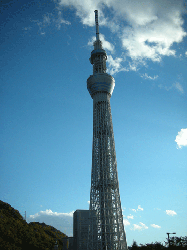 DSCN5429.gif