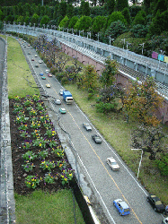 DSCN5441.gif