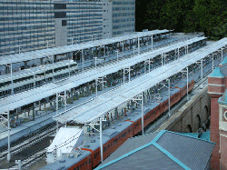 DSCN5446.gif