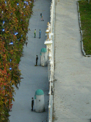 DSCN5459.gif