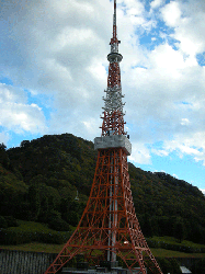 DSCN5470.gif