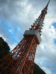 DSCN5471.gif