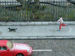 DSCN5476.gif