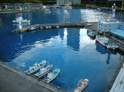 DSCN5485.gif