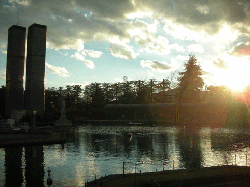 DSCN5498.gif