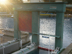 DSCN5502.gif
