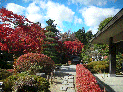 DSCN5557.gif