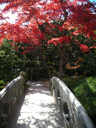 DSCN5558.gif