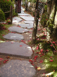 DSCN5554.gif