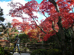 DSCN5543.gif