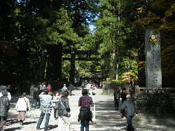 DSCN5563.gif