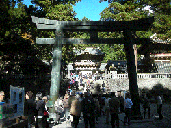 DSCN5567.gif