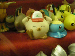 DSCN5607.jpg