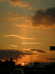 c405f219.jpg
