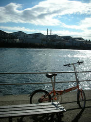 2011-1-10-004.jpg