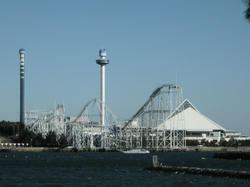 2011-1-10-006.jpg