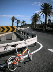 2011-1-10-008.jpg