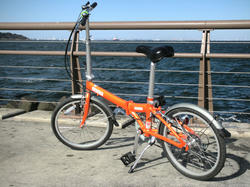 2011-1-10-011.jpg