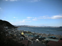 2011-1-10-013.jpg