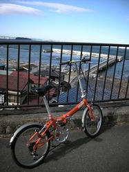 2011-1-10-014.jpg
