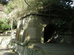 2011-1-10-021.jpg
