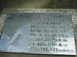 2011-1-10-023.jpg
