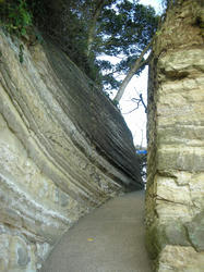 2011-1-10-026.jpg