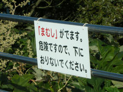 2011-1-10-030.jpg