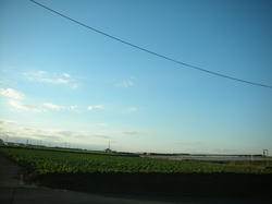 2011-1-10-050.jpg