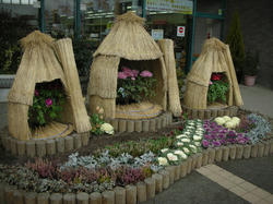 20110220-015.jpg